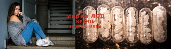гашик Аркадак