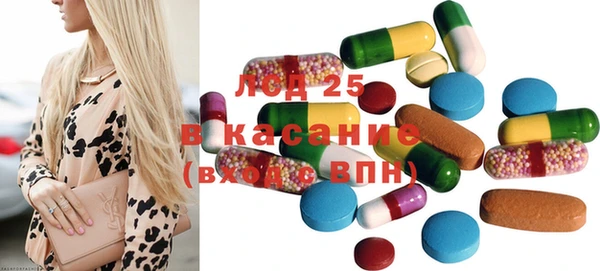 гашик Аркадак